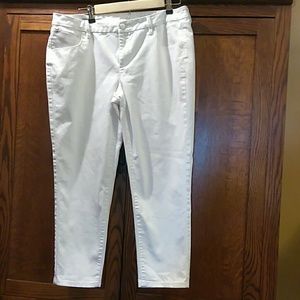 a.n.a.  Skinny Ankle Jean